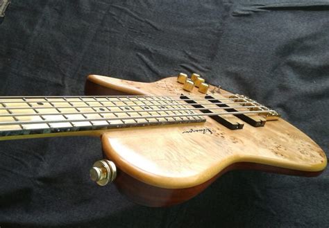 amazon basses|More.